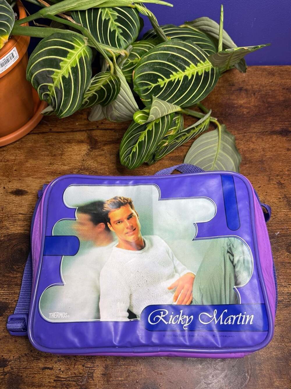 Vintage 1999 Ricky Martin Purple Insulated Soft Lunch Box by Thermos